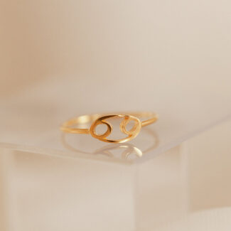 Zodia Ring Set  – Zodiac & Birthstone Adjustable Rings